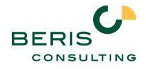 Logo von BERIS consulting